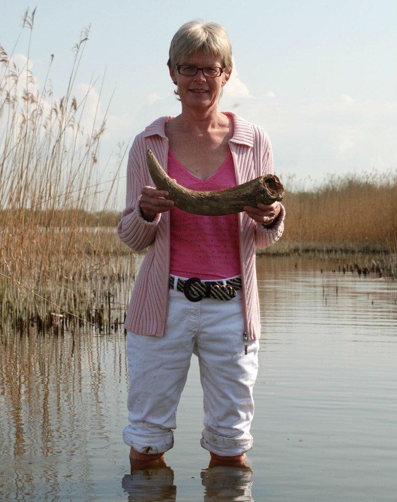 Lisbeth Pedersen (Historieudvikler) bruger ofte spor i landskaber og ting fra museers samlinger i sin forskning. Her står hun med fødderne solidt plantet i Tissø og viser hornstejlen fra en urokse, der blev ofret i søen omkring 600 e.Kr.